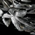 Detail on Metal Japanese Maple Tree Leaf